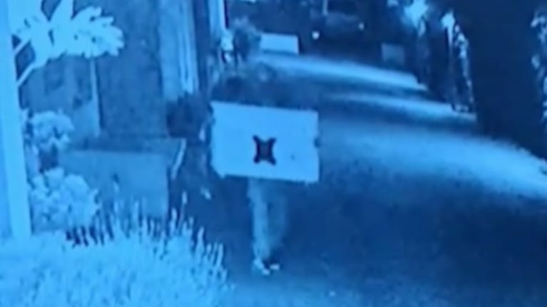 Entraron a robar a un housing, se llevaron de todo y quedaron filmados