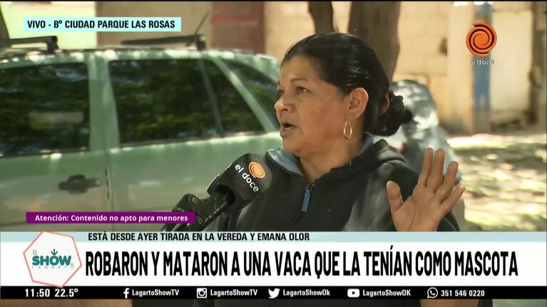 Encontraron una vaca muerta en Córdoba