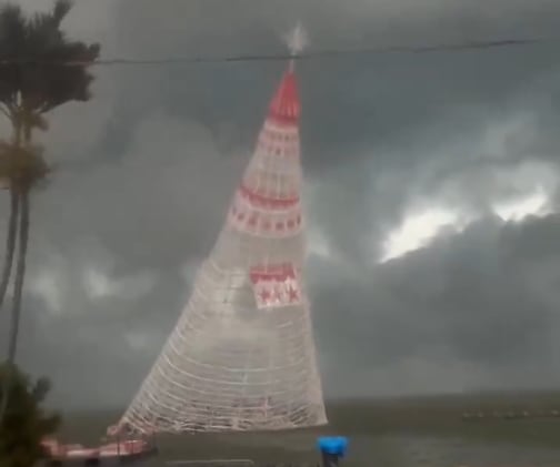 La tormenta derrumbó un árbol de Navidad y murió un joven de 21 años