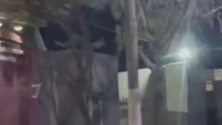 Divisaron un aguará guazú en el interior de Córdoba