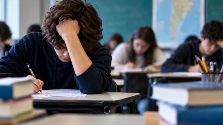 Pruebas PISA: un especialista explicó qué hay detrás de los alarmantes resultados