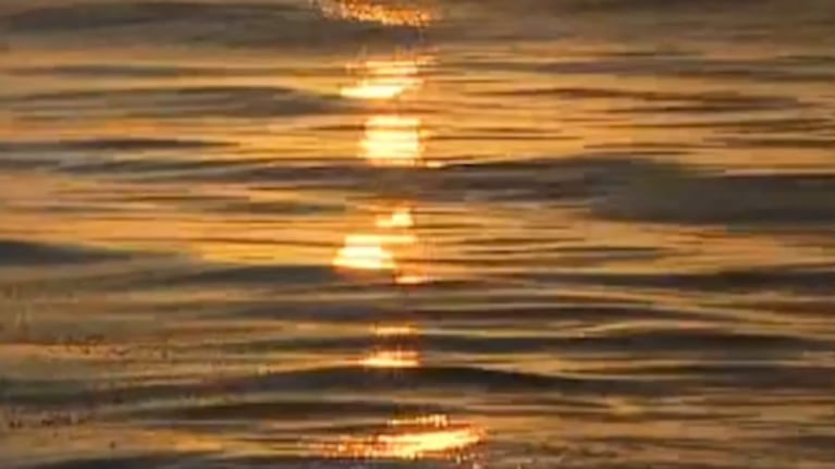 El amanecer soñado de Miami por los enviados especiales