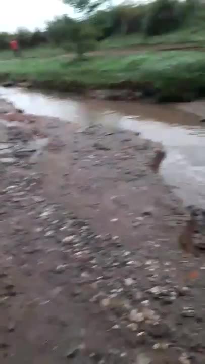 La tierra se "tragó" a un tractor en pleno temporal