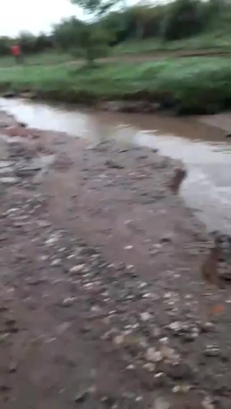 La tierra se "tragó" a un tractor en pleno temporal