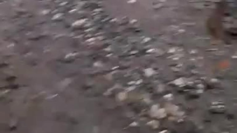 La tierra se "tragó" a un tractor en pleno temporal