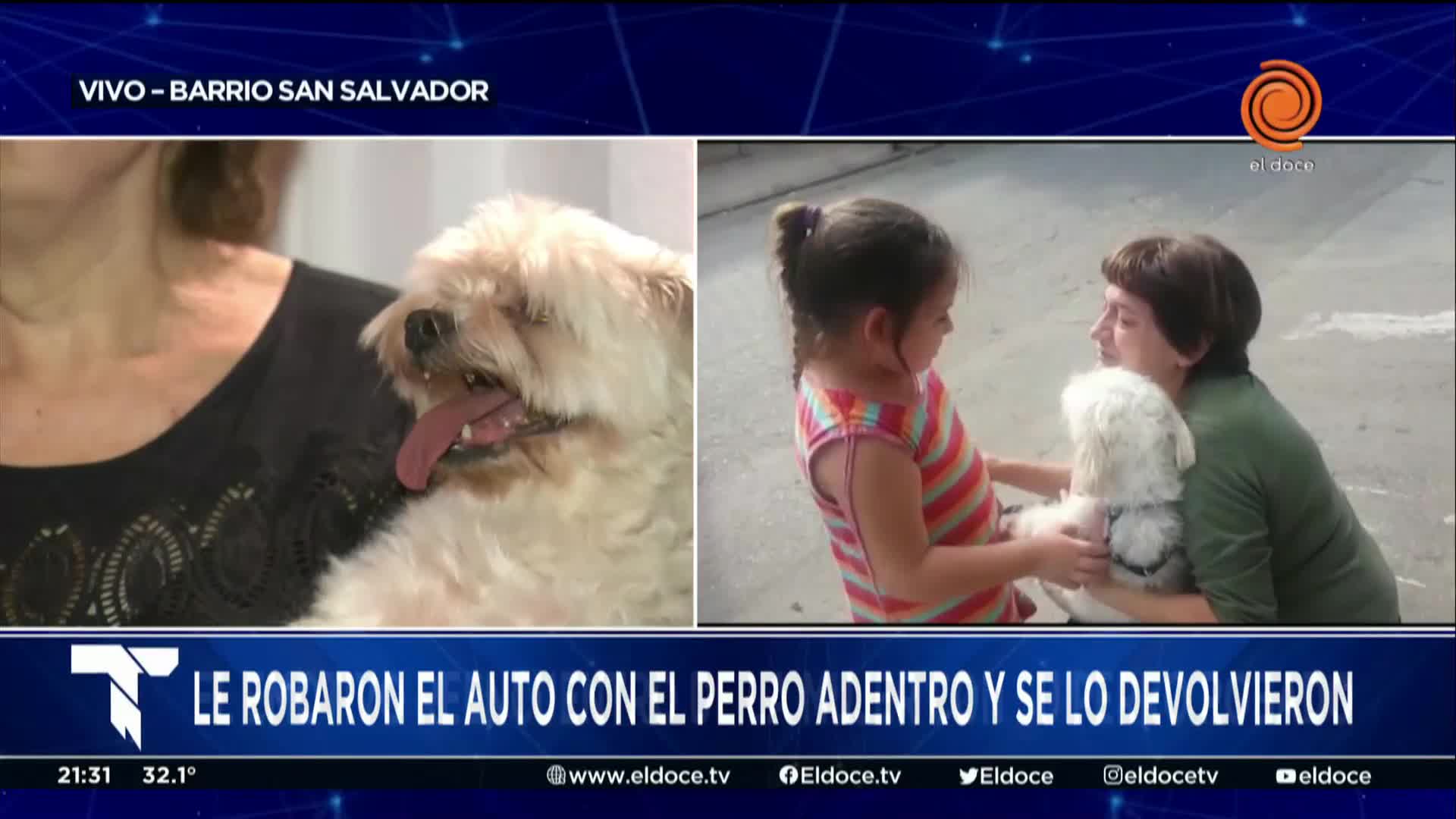 La mujer a la que le robaron el auto con el perro contó cómo fue el reencuentro