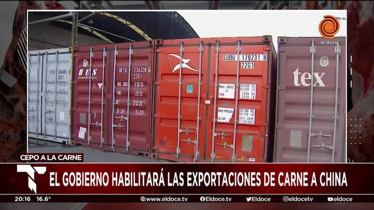 Exportación de carne: levantarán el cepo de manera escalonada