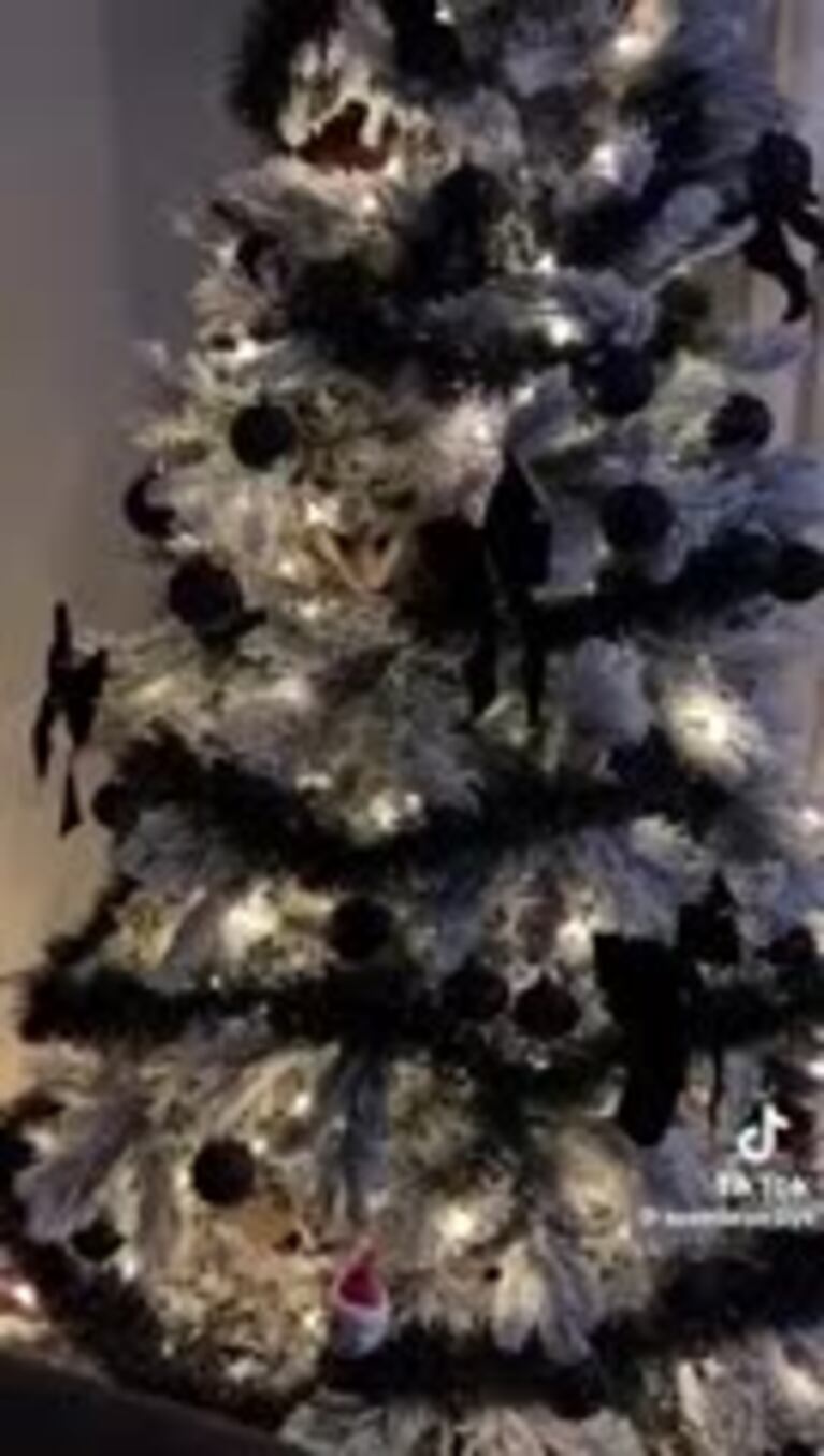 Encontró un marsupial en su árbol de Navidad