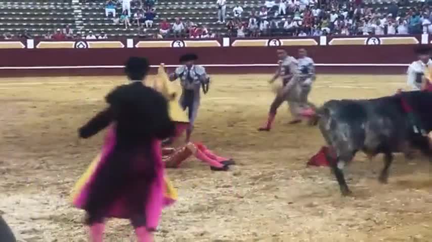 La violenta cornada que recibió un torero