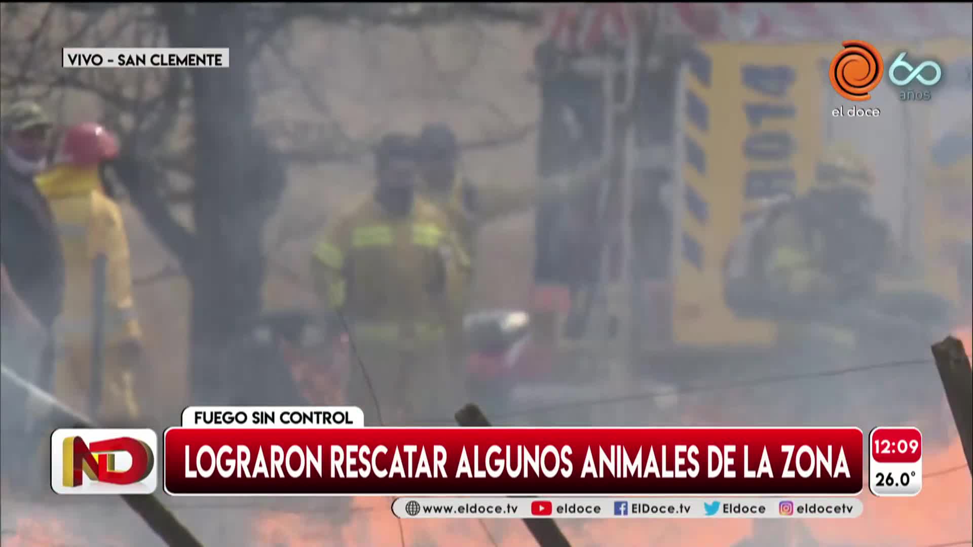 Incendios: el drama de un productor que perdió animales y campo