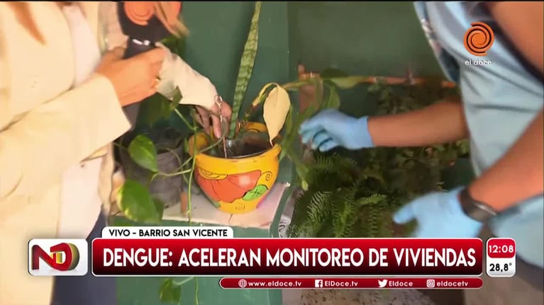 Alerta en Córdoba por el dengue en Santa Fe