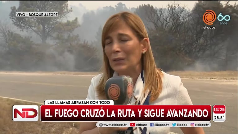 Incendios: el dolor de las periodistas de El Doce