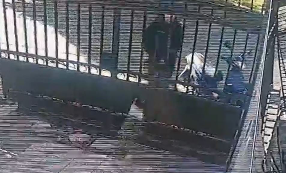 Ladrones intentaron robarle la moto cuando entraba a su casa y ella le tiró con el casco por la cabeza