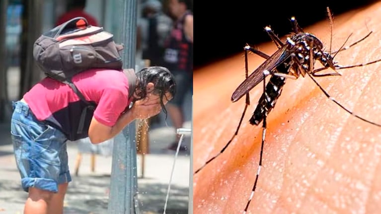 Un experto explicó la “tropicalización” del clima de Córdoba y la relación con el dengue