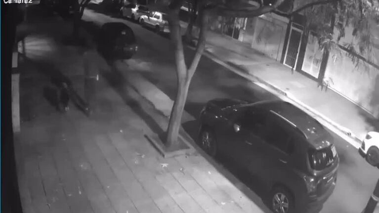 Brutal golpiza de un hombre a su perro en el barrio porteño de Flores