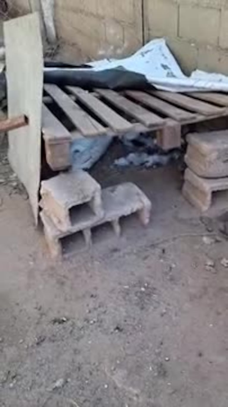 Video Placeholder