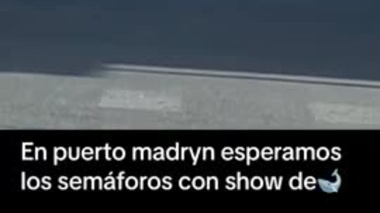 Una captura sensacional en Puerto Madryn