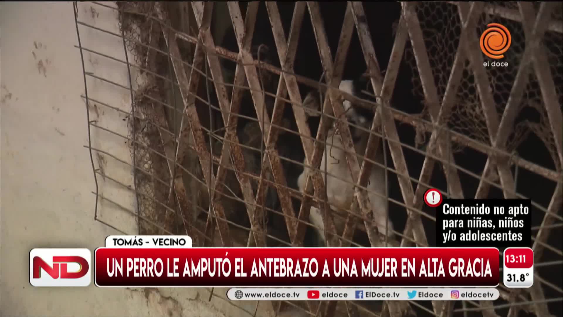 Vecinos relataron cómo ayudaron a la mujer atacada por un pitbull