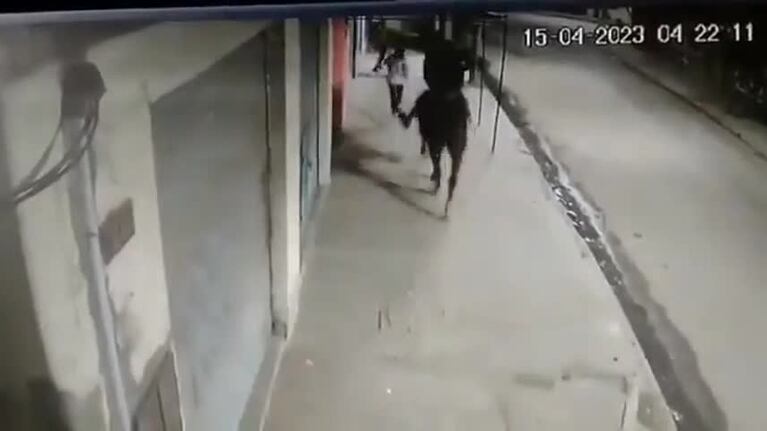 Asaltó a caballo y con un arma en Buenos Aires