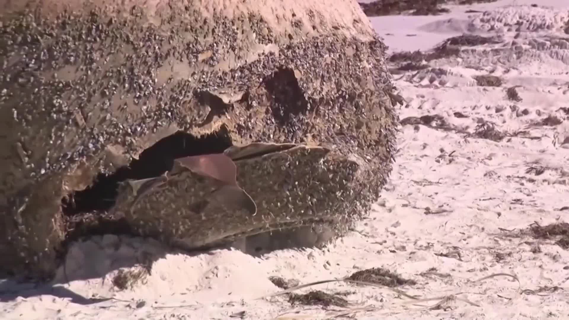 El extraño objeto que apareció en la costa de Australia