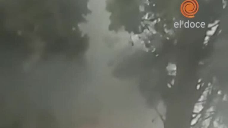 Incendio en un bar del Parque Sarmiento