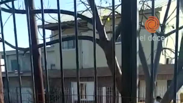 Ataque piraña a un taxi en Córdoba