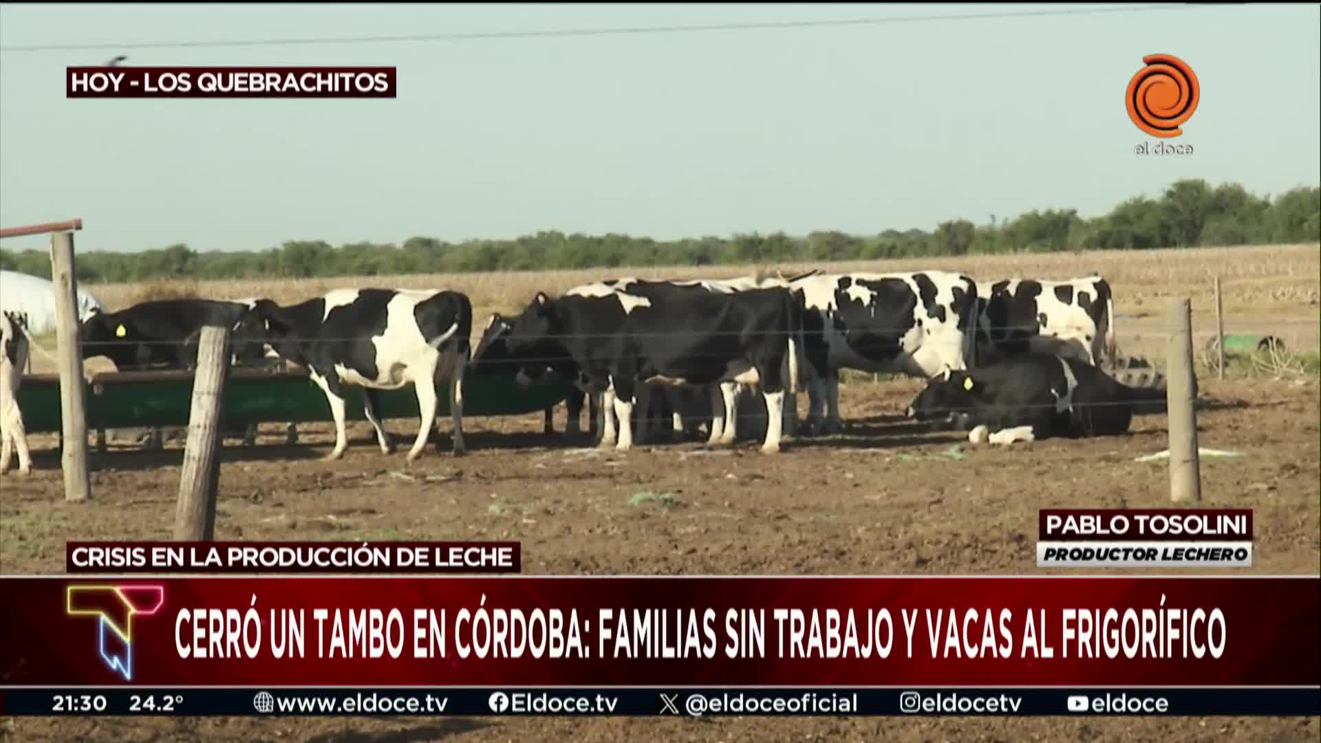 Por la crisis, cerró su tambo después de 40 años: "Es insostenible"