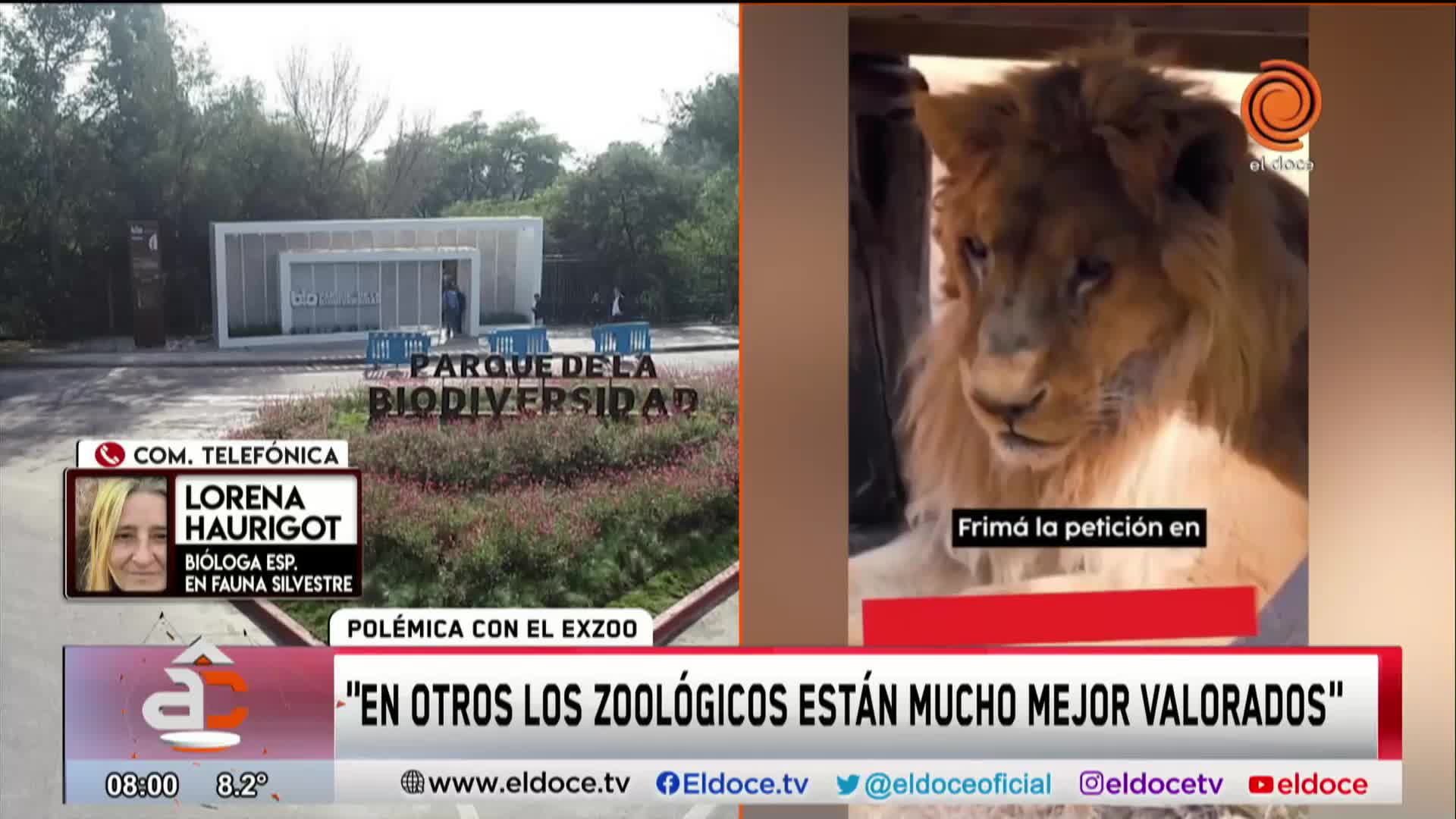 La opinión de una especialista tras la polémica por el exzoológico de Córdoba