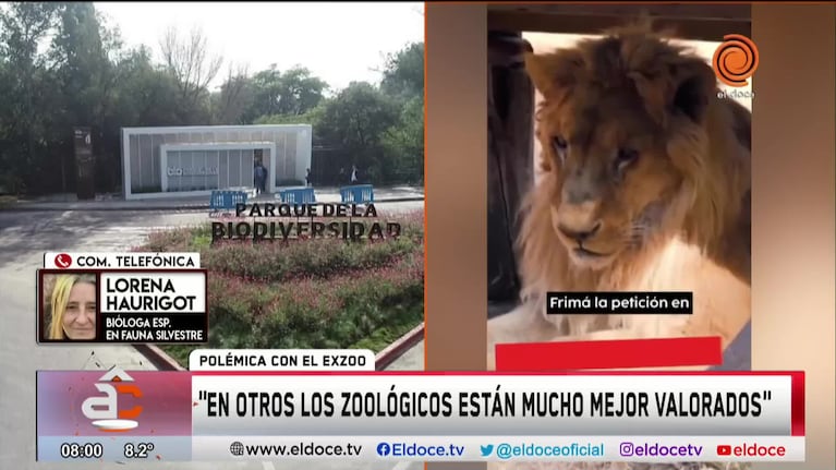 La opinión de una especialista tras la polémica por el exzoológico de Córdoba