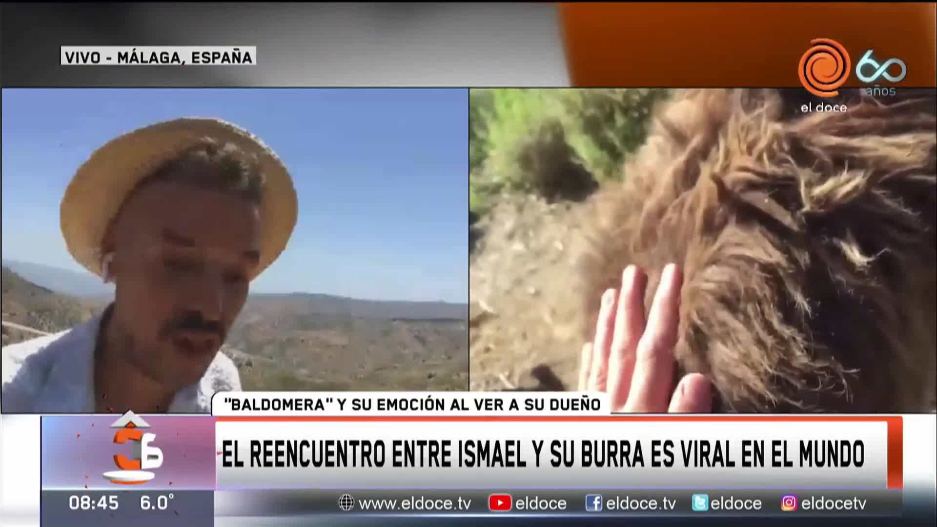 Viral: la emoción de la burra Baldomera al reencontrarse con su dueño Ismael