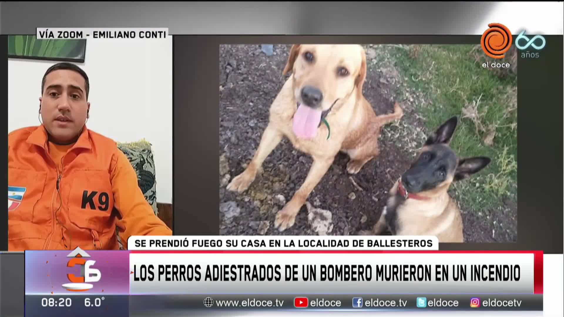 Dolor y drama: los perros adiestrados de un bombero murieron tras un incendio