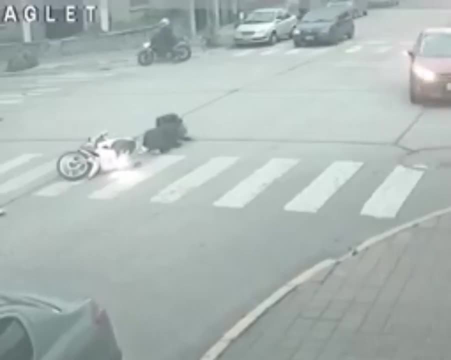 Caballo embistió a una moto en Necochea 