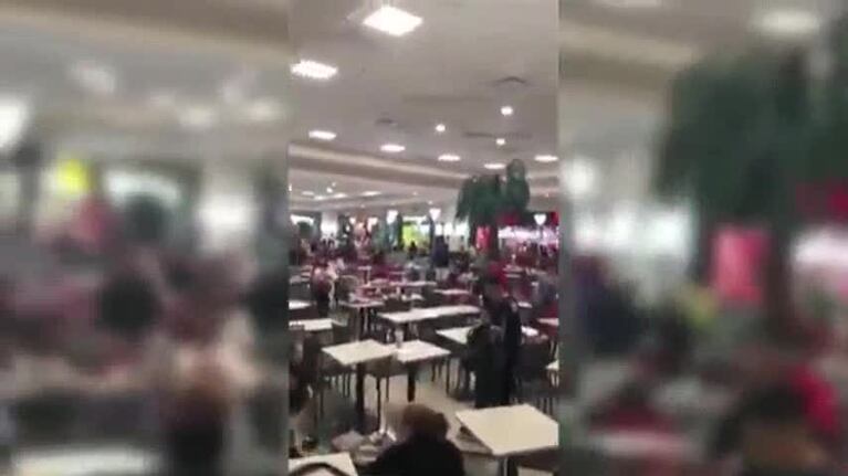 A los tiros, ladrones robaron en un shopping