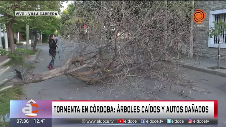 La tormenta con intensas ráfagas causó destrozos en Córdoba
