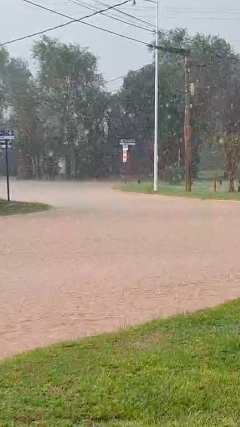 Fuerte chaparrón en Despeñaderos