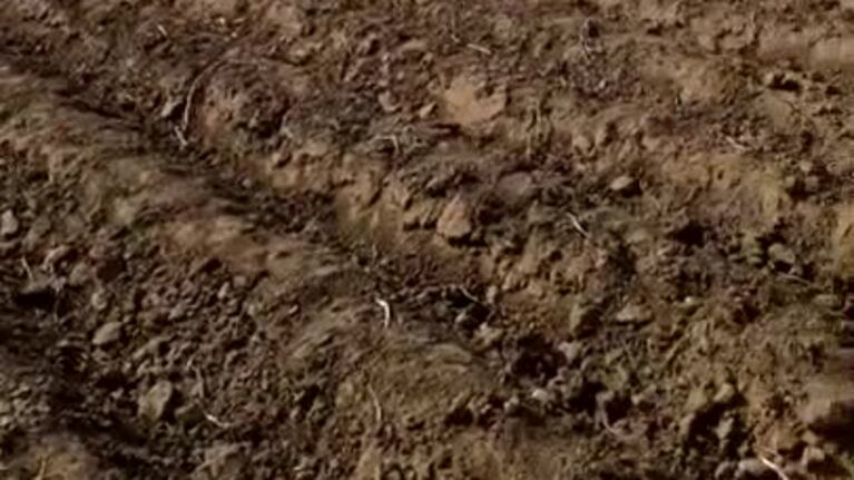Se estrelló una avioneta y el piloto está vivo de milagro