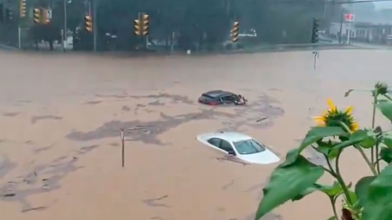 Video: lluvia torrencial, inundación y el rescate heroico de un hombre amputado junto a su perro