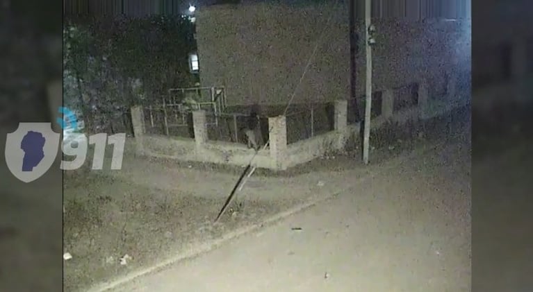 Video Placeholder
