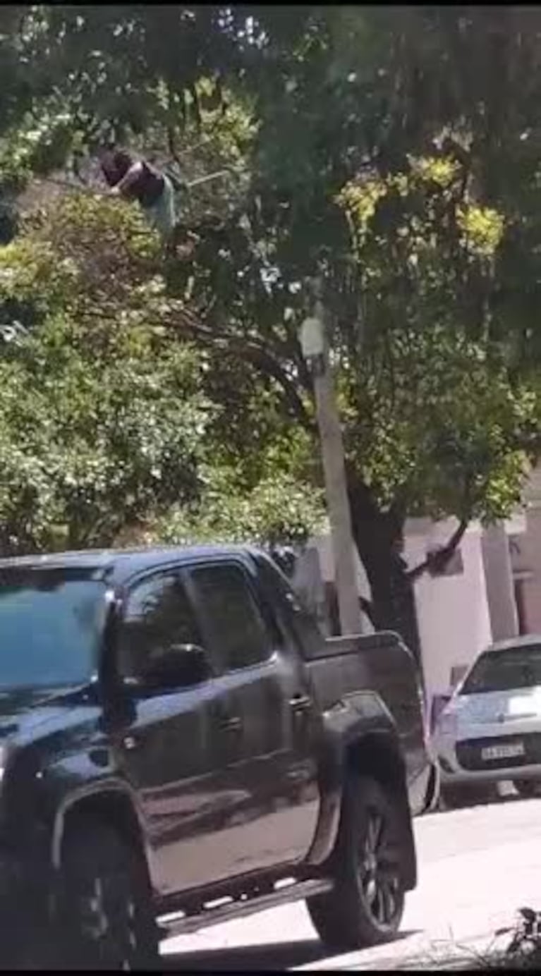 Un ladrón "equilibrista" en barrio Pueyrredón