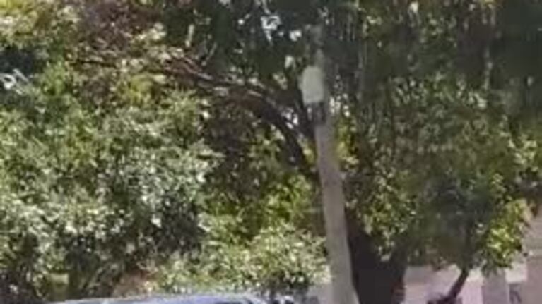 Un ladrón "equilibrista" en barrio Pueyrredón