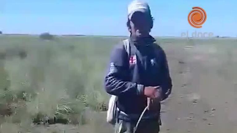 Millones de mosquitos coparon localidades en la zona de Mar Chiquita