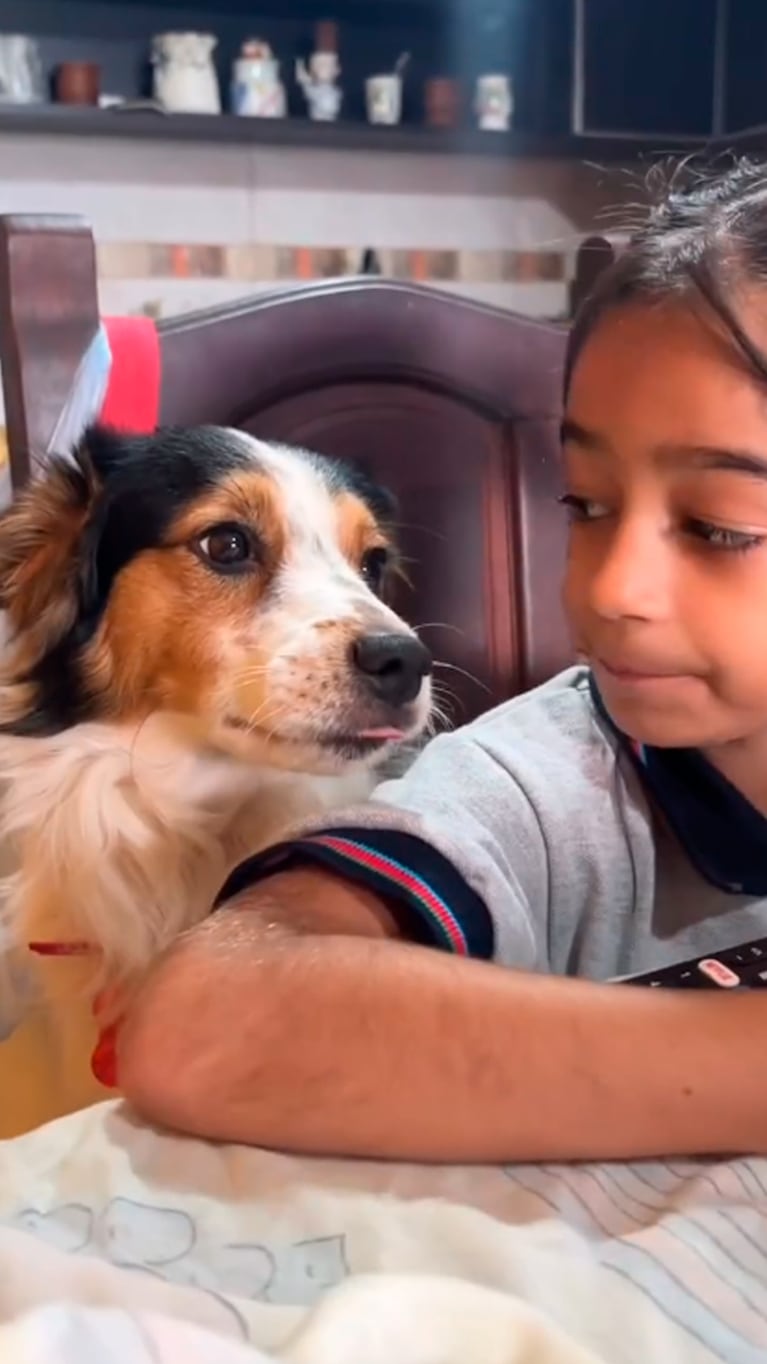 Bartolo, el compañero más fiel