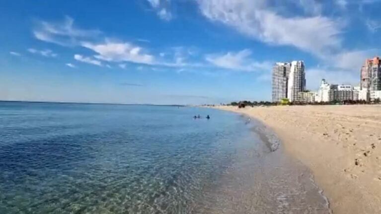 El Doce en Miami: Flor Ferrero nos enseñó la ciudad y sus playas cristalinas