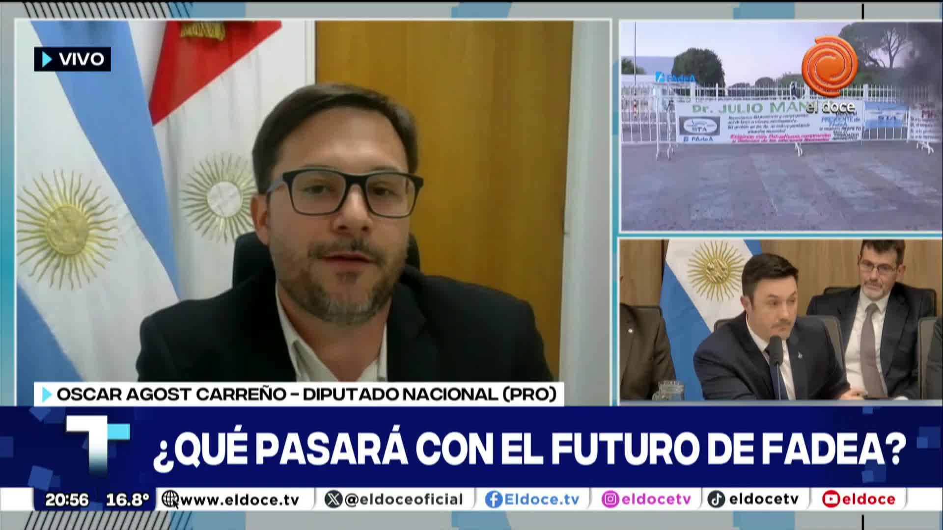 Agost Carreño sobre la crisis en Fadea