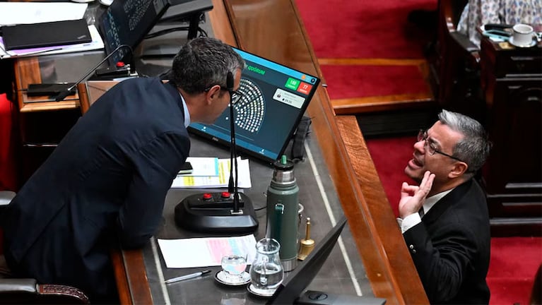 Tenso momento entre Germán Martínez y Martín Menem en Diputados