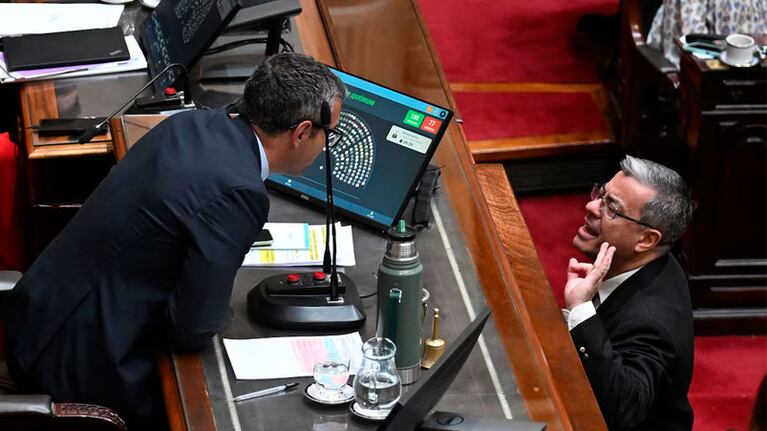 Diputados: el jefe de bloque kirchnerista se peleó con Martín Menem y lo invitó a pelear en plena sesión