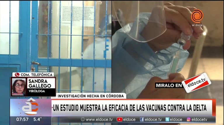 La eficacia de las de las vacunas contra la variante Delta