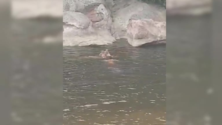 Rescataron a un abuelo y su nieto en el río San Antonio