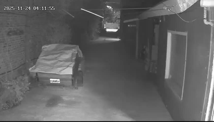 WhatsApp Video 2025-11-25 at 9.05.50 PM