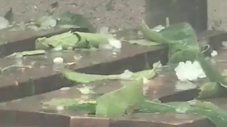 El granizo sorprendió a los turistas en Calamuchita